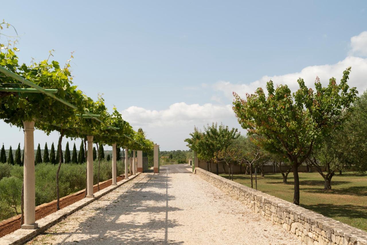 Villa Albina & Domenica Zadar Exterior photo